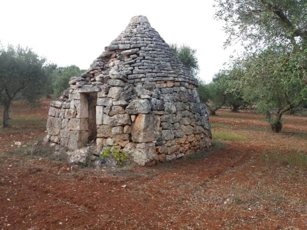 Terreno agricolo strada pipiriello zona 1, martina franca