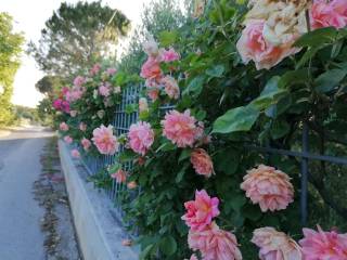 RECINZIONE DELLA PROPRIETA'