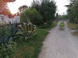 VIALE D'INGRESSO