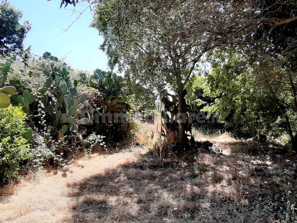 terreno-agricolo-via-delle-palme-4-acireale-rif-91596662
