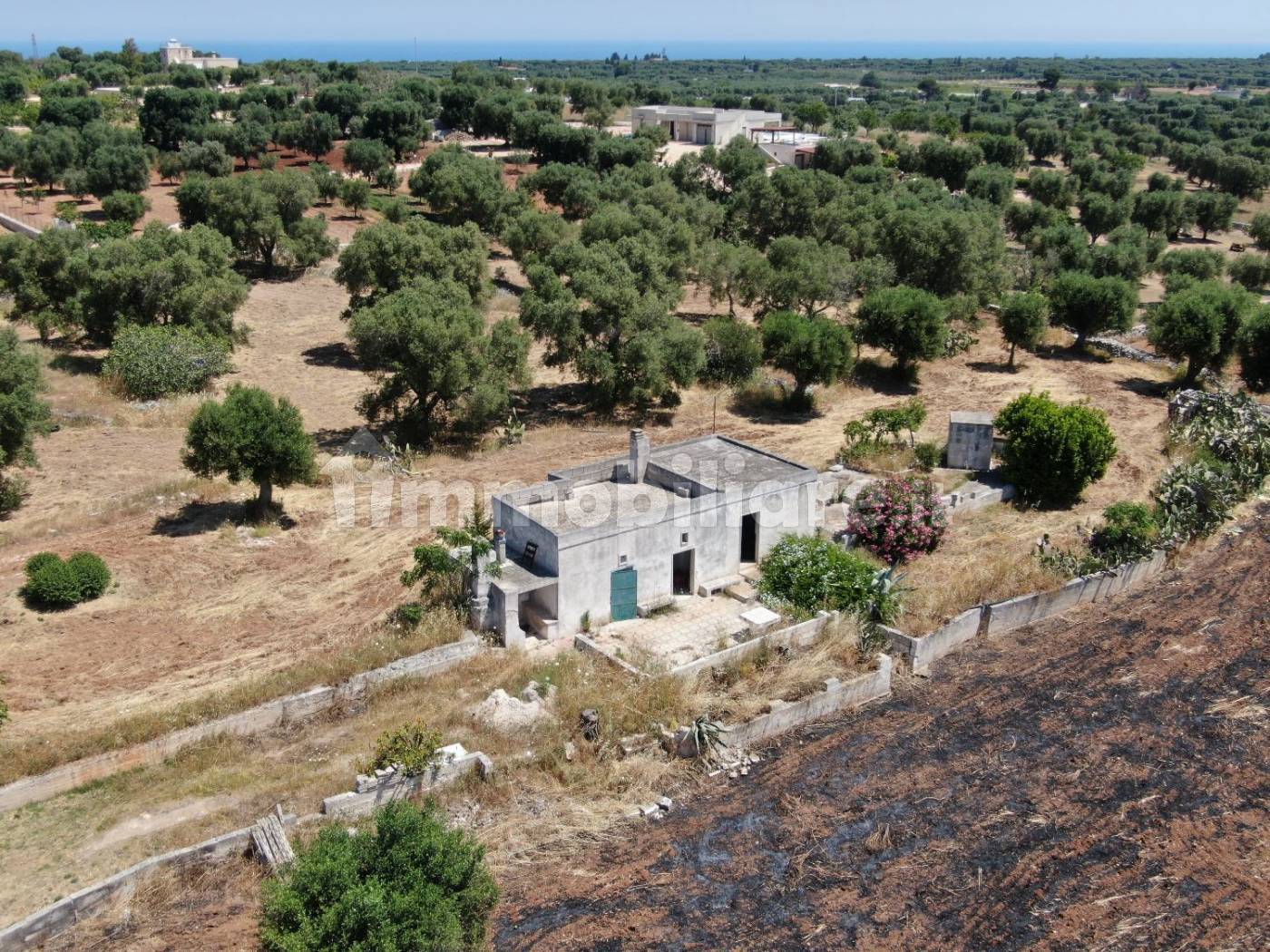 Rustico - Casale - foto 4