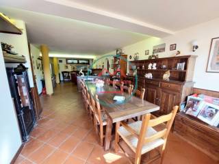 taverna