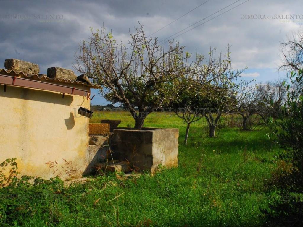 deposito su terreno