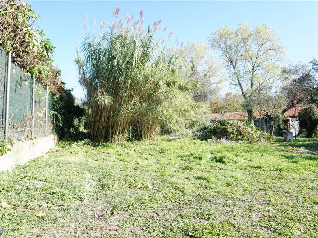 Terreno agricolo viale roma, rinchiostra - quercioli, massa