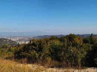Vista