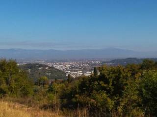 Vista