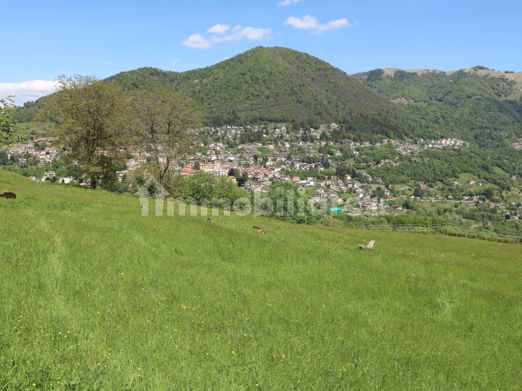 Vista sul paese dal terreno