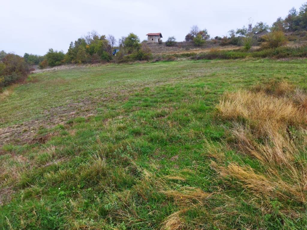 Terreno agricolo, centro, pareto