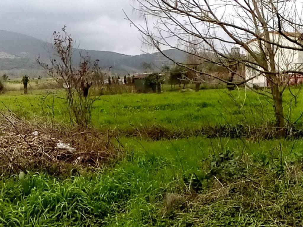 Terreno agricolo via paolo savi, san frediano nord - san casciano, cascina