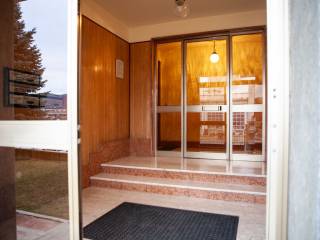ingresso