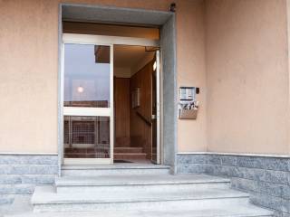 ingresso