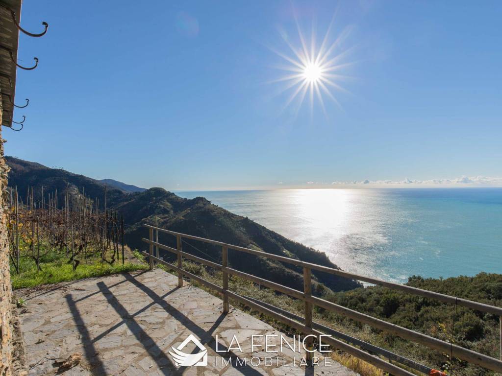 VISTA