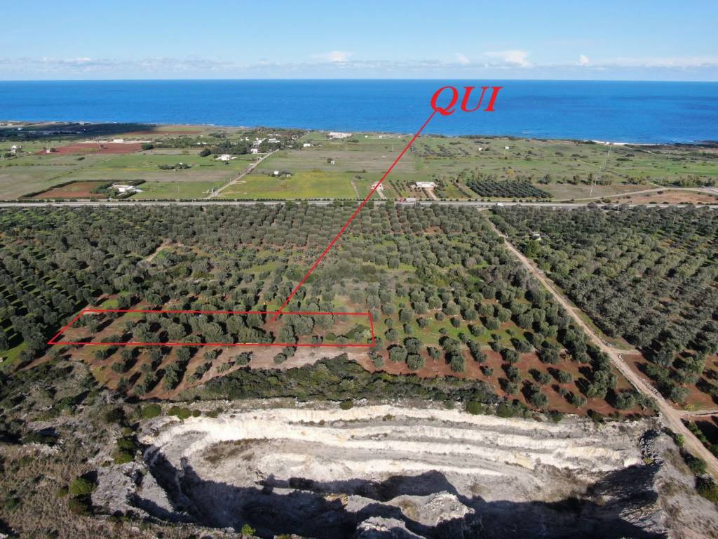 Terreno agricolo contrada bufalaria, carovigno