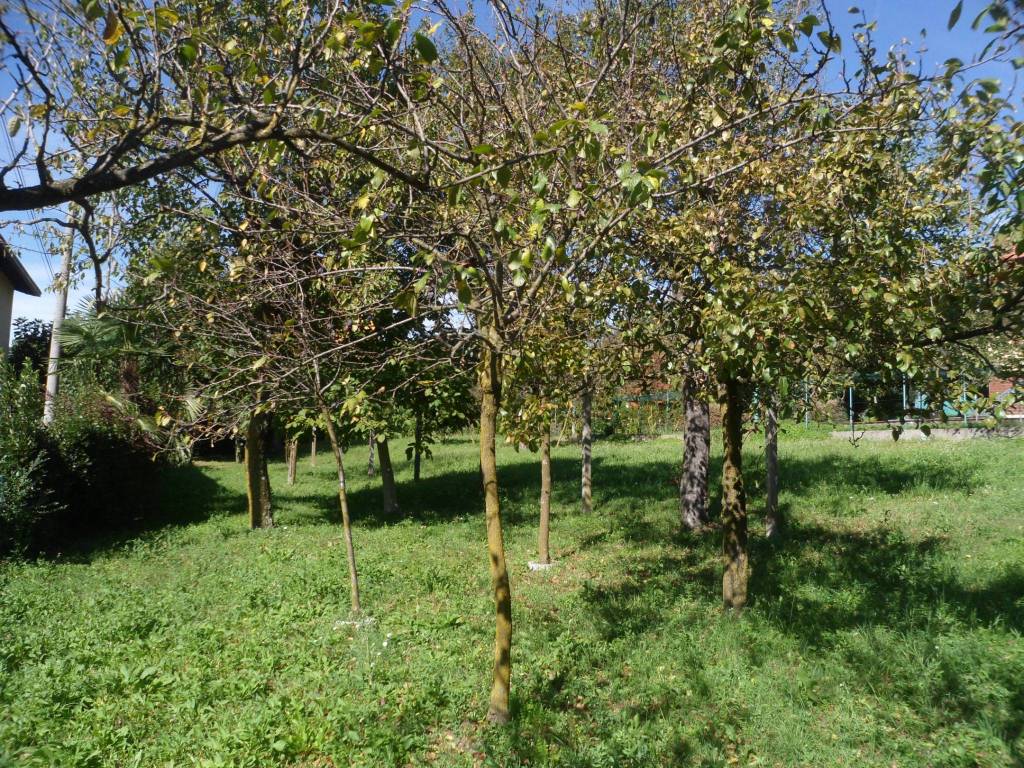 Terreno edificabile via per domo, centro, porto valtravaglia