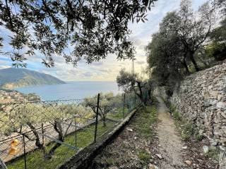 Foto - Vendita Rustico / Casale da ristrutturare, Recco, Golfo Paradiso