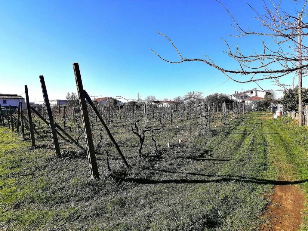 Terreno agricolo, zona industriale, massa