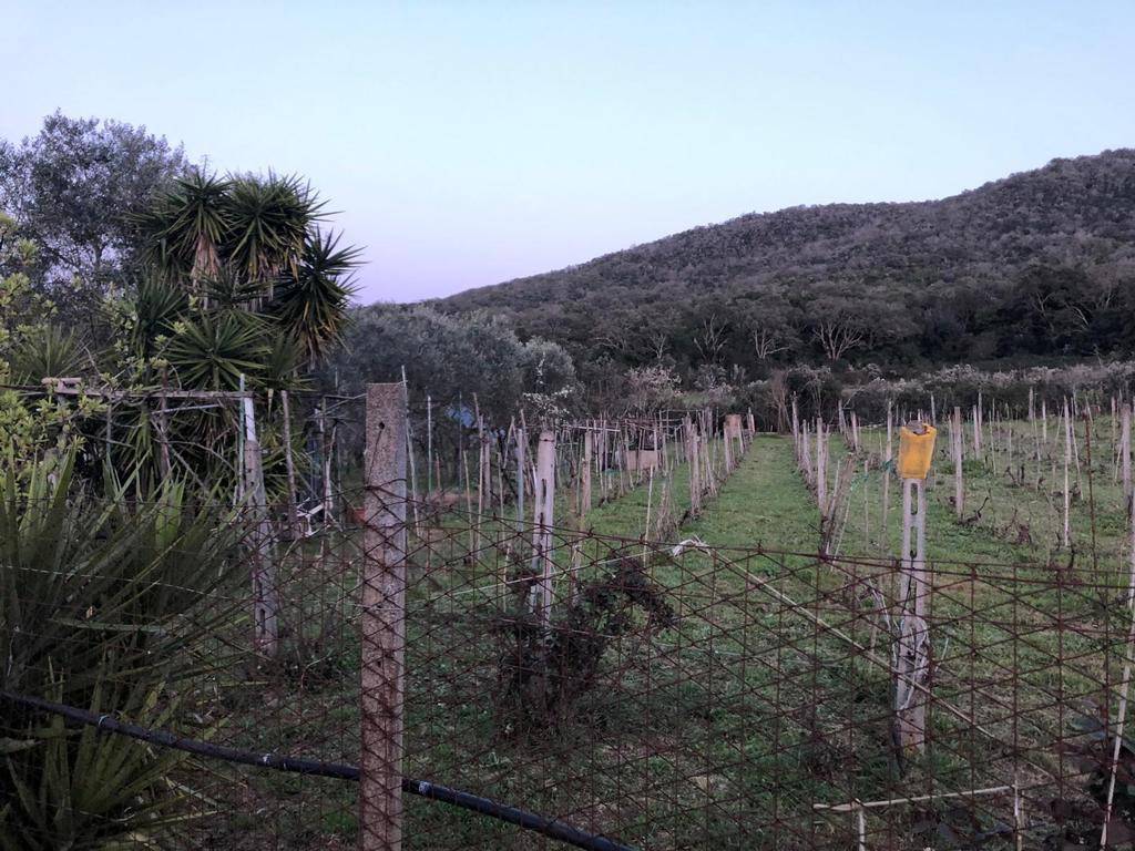 Terreno agricolo località mortella, porto ercole, monte argentario