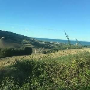 Terreno agricolo via valle oscura, porto san giorgio