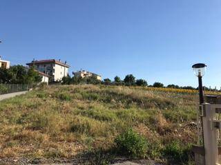 Terreno edificabile, montignano, castellaro, senigallia