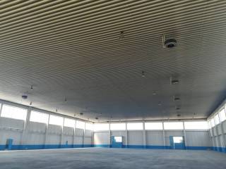 Interno 6