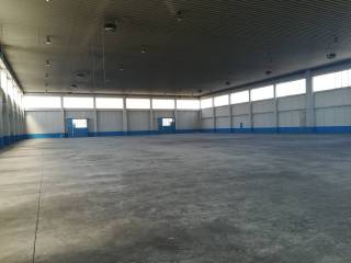 Interno 11