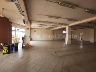 SALONE