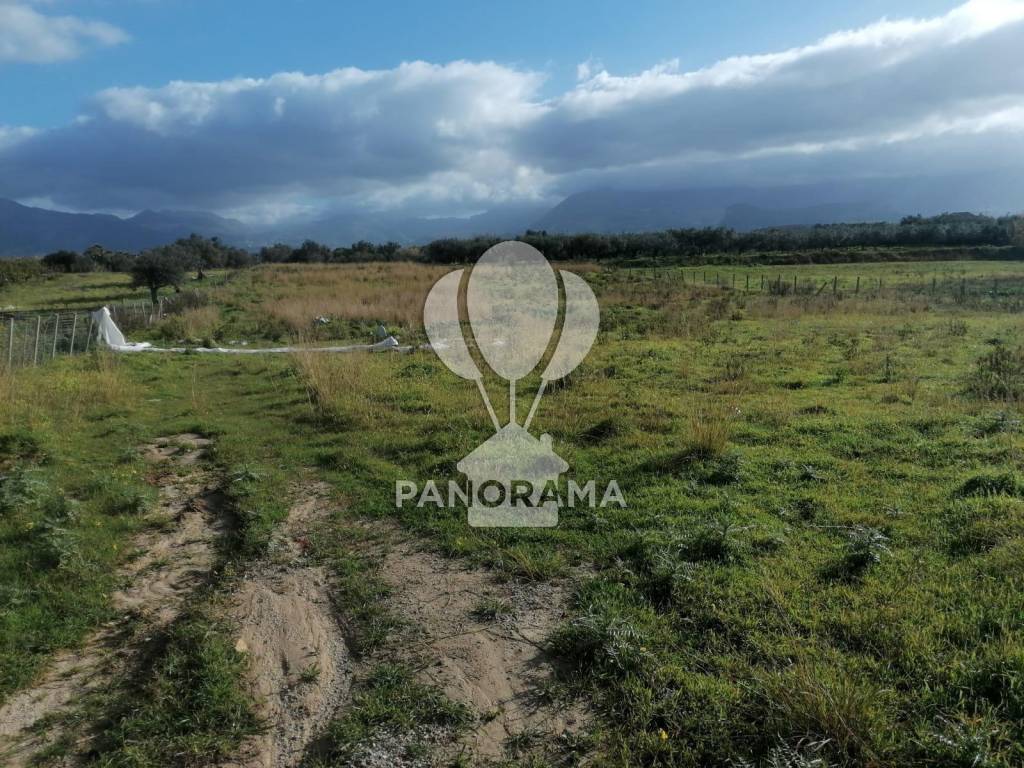 Terreno agricolo contrada vacante partinico, partinico