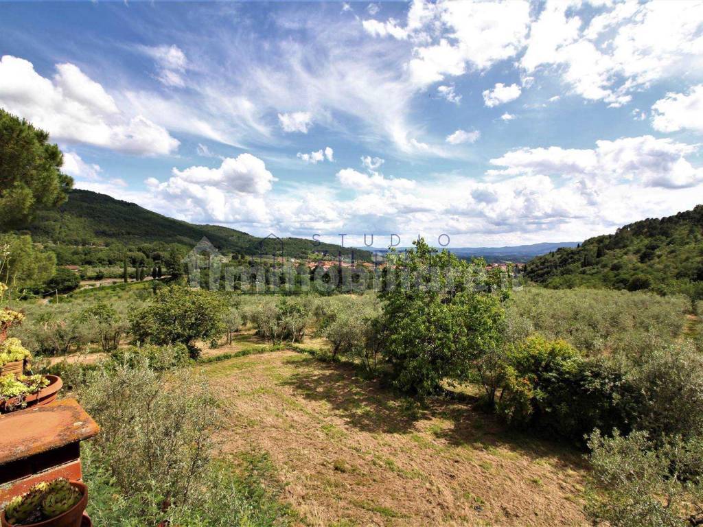 Vista panoramica dalla terrazza