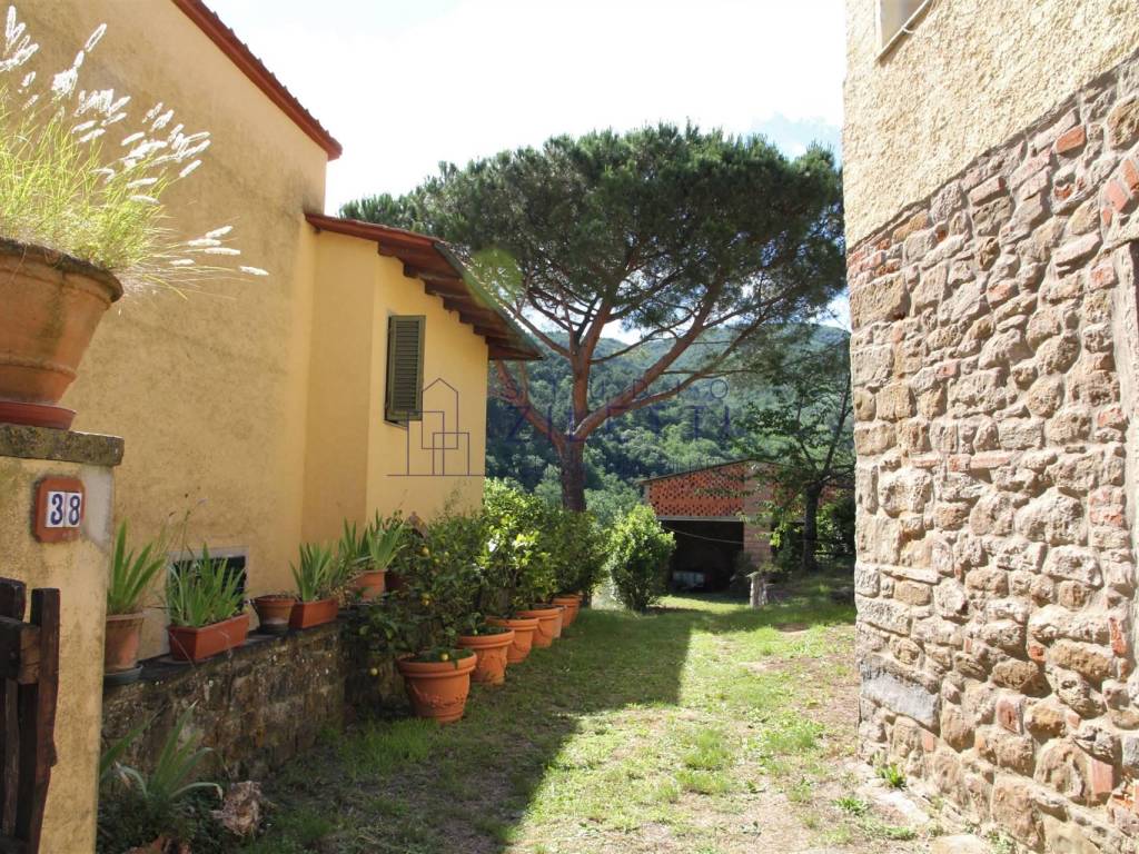 Tenuta Carpineto