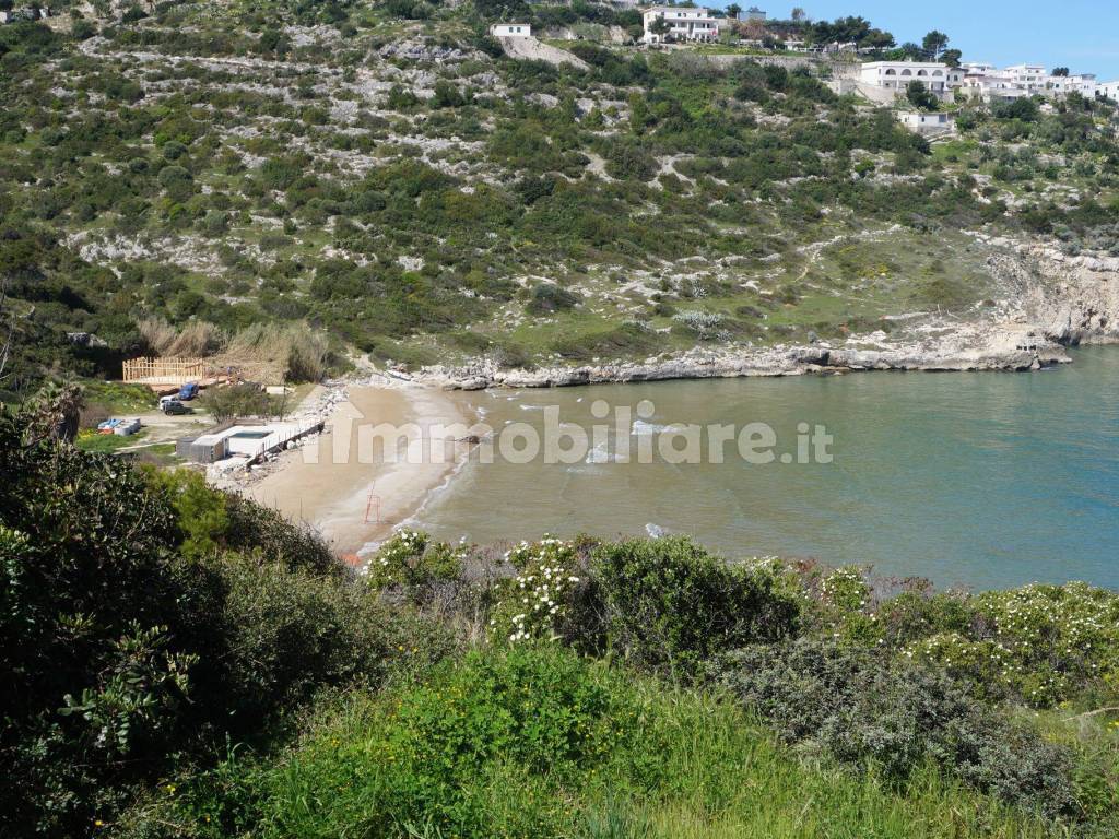 Spiaggia Procenisco