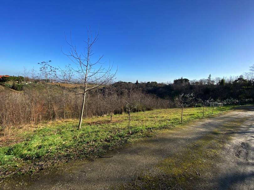 Terreno agricolo via pediano 31a, tre monti, imola