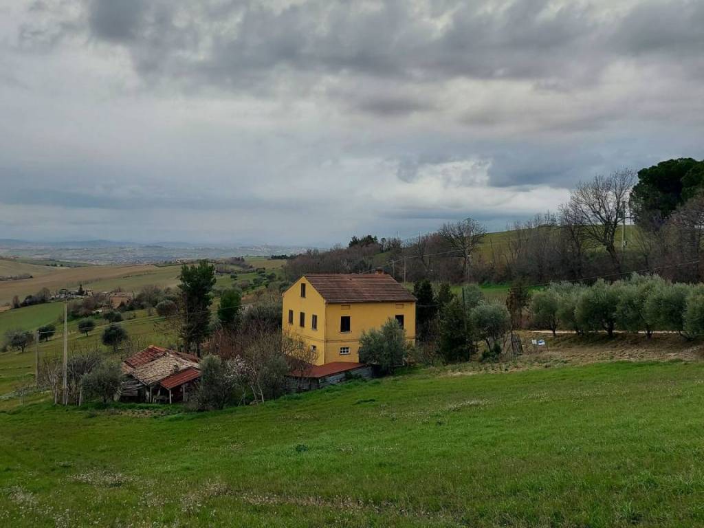 Terreno agricolo contrada cervare 4, montelupone