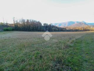 TERRENO AGRICOLO