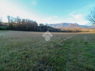 TERRENO AGRICOLO