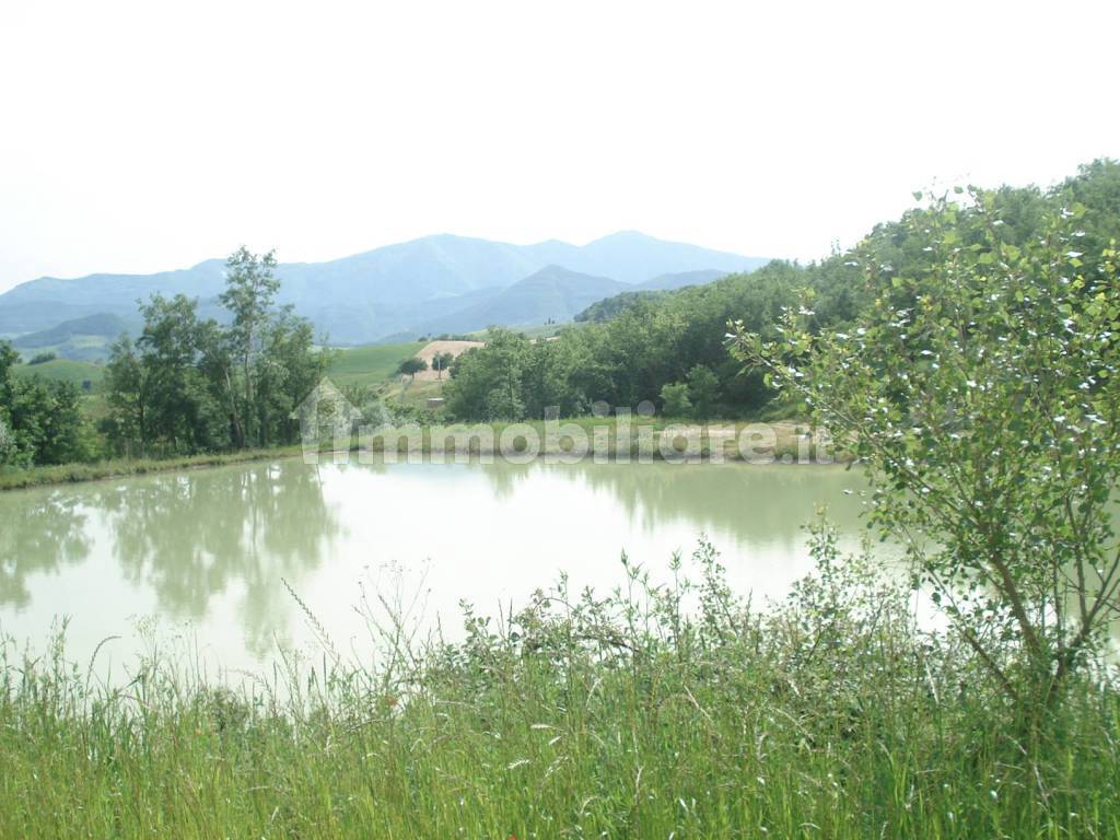 lago1