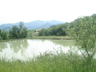 lago1