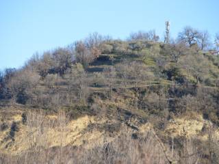 terreno agricolo