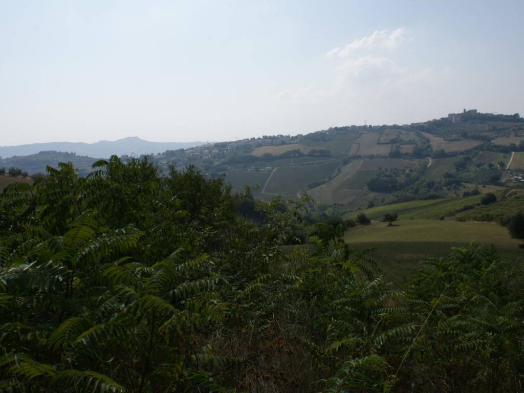 vista panoramica