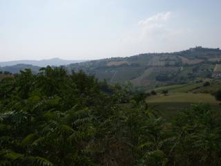 vista panoramica