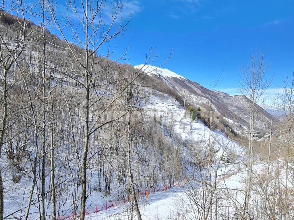 Panorama Sulle Piste