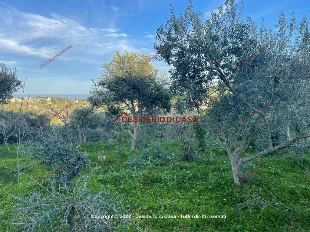 Terreno agricolo strada torre amalfitano 47a, consona, bagheria