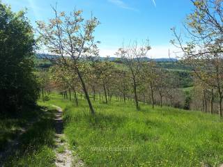 acqua comunale