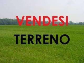 Terreno agricolo via trivio del castagno, succivo