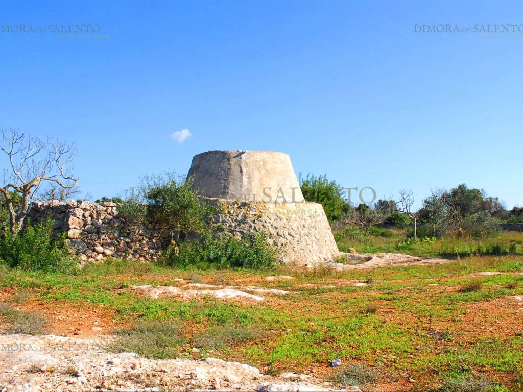 pajara e terreno