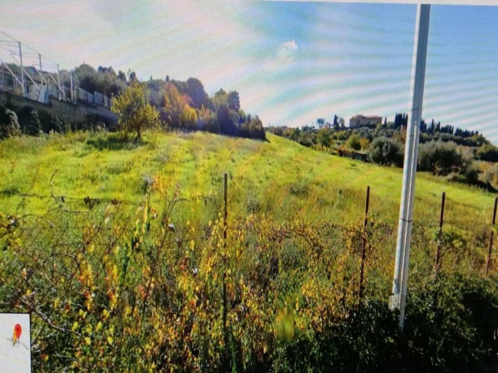 Terreno agricolo, semicentro, marino