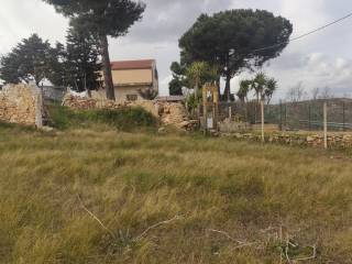 vista 1