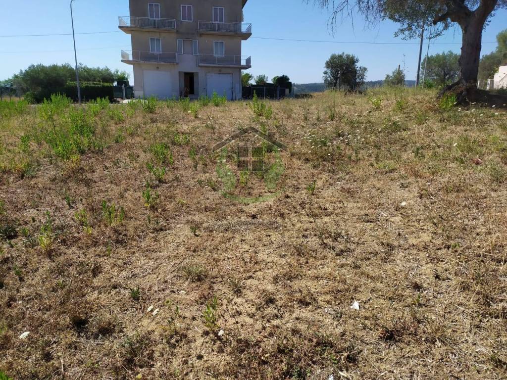 Terreno edificabile strada provinciale 58, massignano