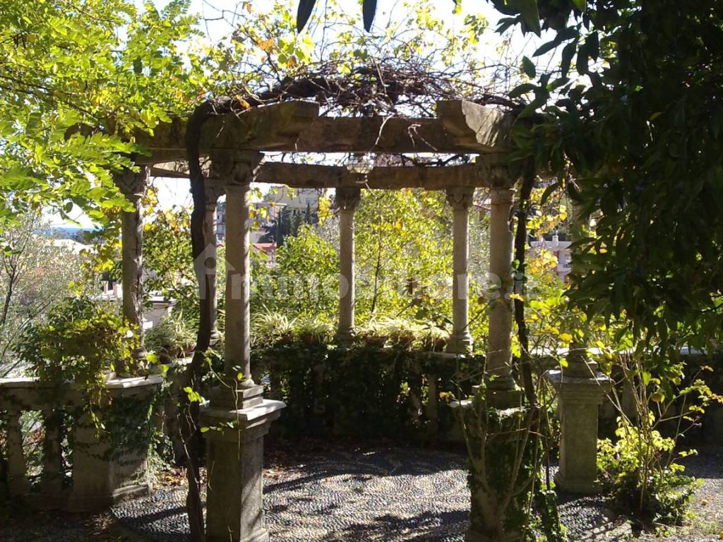 gazebo