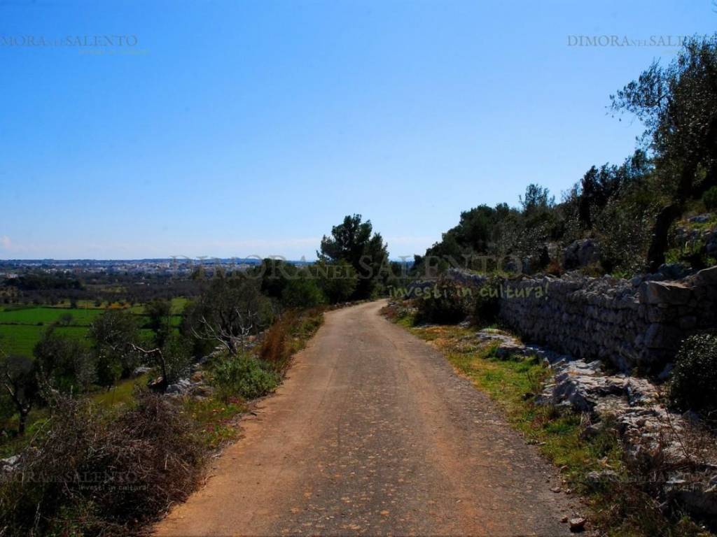 strada per terreno