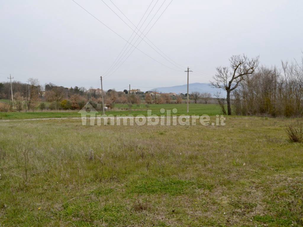 PORZIONE DI CASOLARE CON TERRENO CORTONA CAMPAGNA